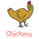 Chickens